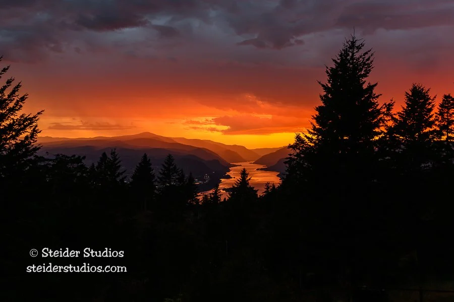 Sunset — Steider Studios